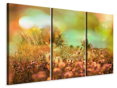 3-piece-canvas-print-flower-meadow-at-twilight