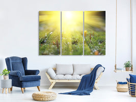 3-piece-canvas-print-flowery-meadow