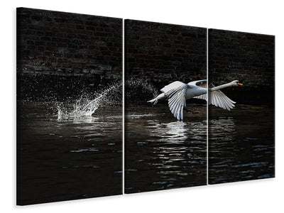 3-piece-canvas-print-flying-swan