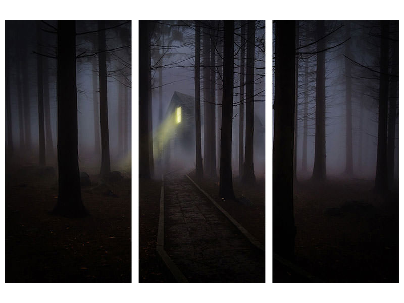 3-piece-canvas-print-fog-in-the-forest