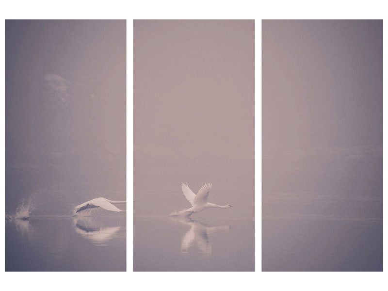 3-piece-canvas-print-foggy-takeoff