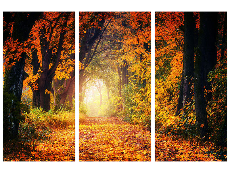 3-piece-canvas-print-forest-walk