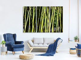 3-piece-canvas-print-fresh-bamboo