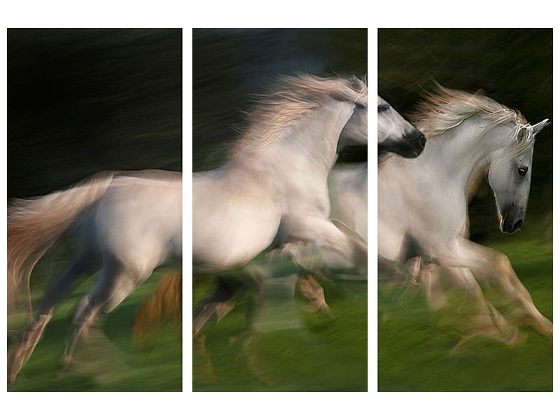 3-piece-canvas-print-gallop-for-two