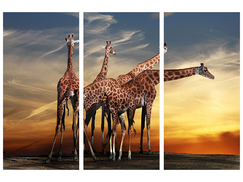 3-piece-canvas-print-girafe-at-sunset