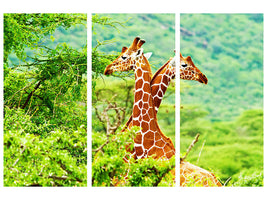 3-piece-canvas-print-giraffes-love