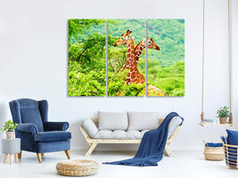 3-piece-canvas-print-giraffes-love