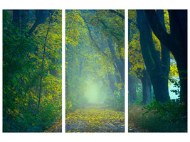 3-piece-canvas-print-green-forest