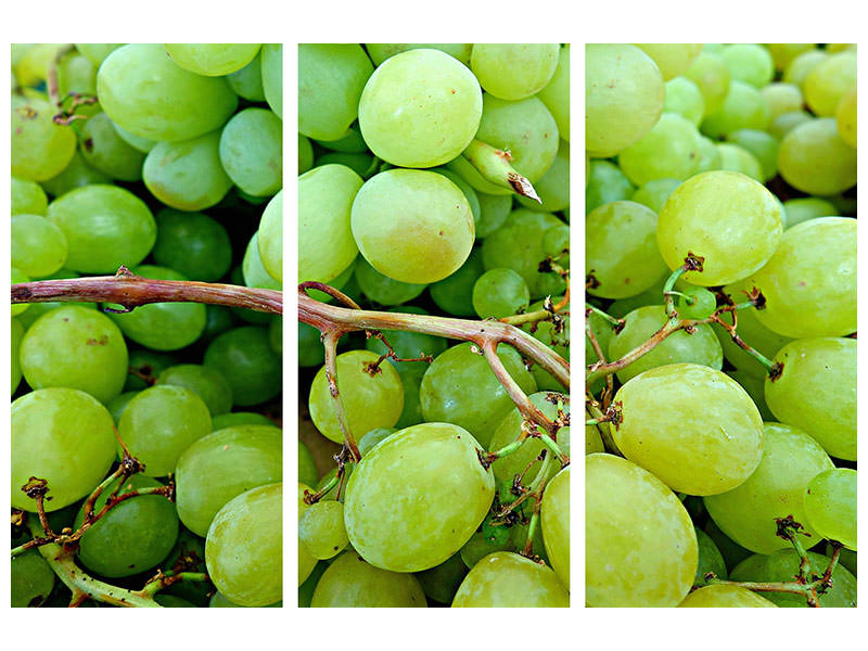 3-piece-canvas-print-green-grapes