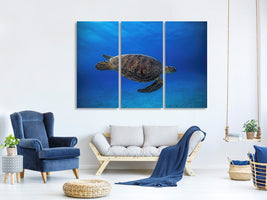 3-piece-canvas-print-green-turtle-in-the-blue