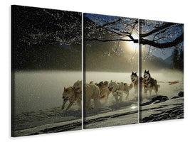 3-piece-canvas-print-huskies