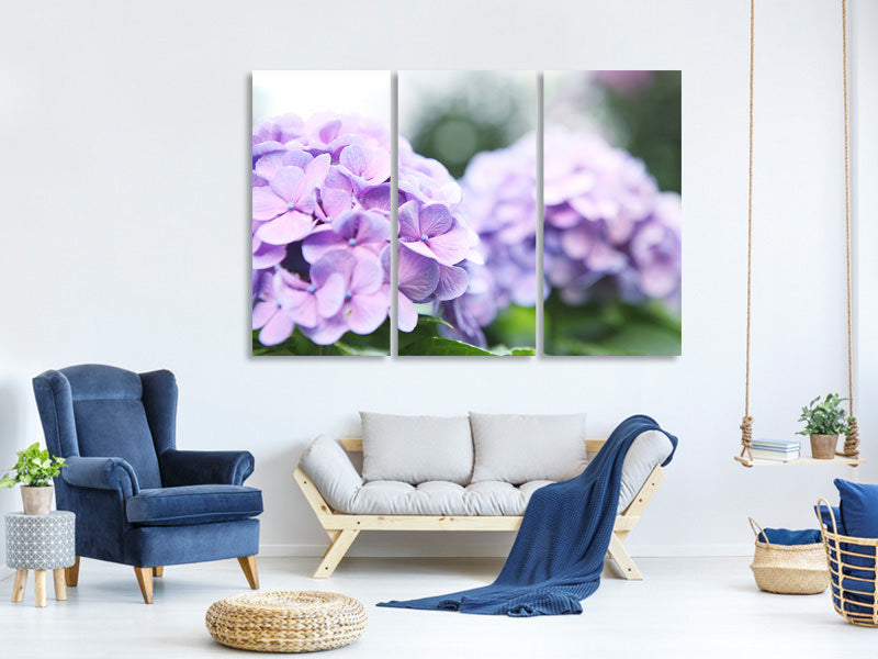 3-piece-canvas-print-hydrangeas