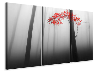 3-piece-canvas-print-illusion