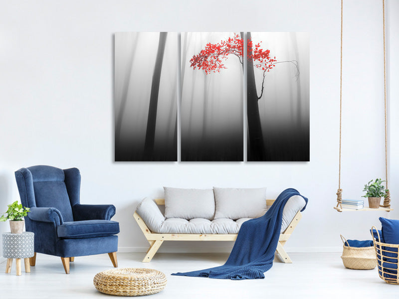 3-piece-canvas-print-illusion