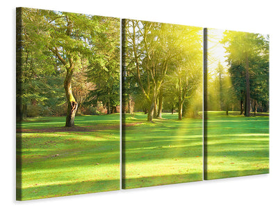 3-piece-canvas-print-in-the-park