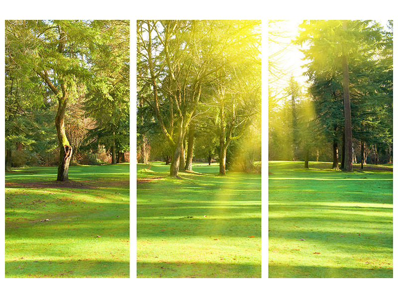 3-piece-canvas-print-in-the-park