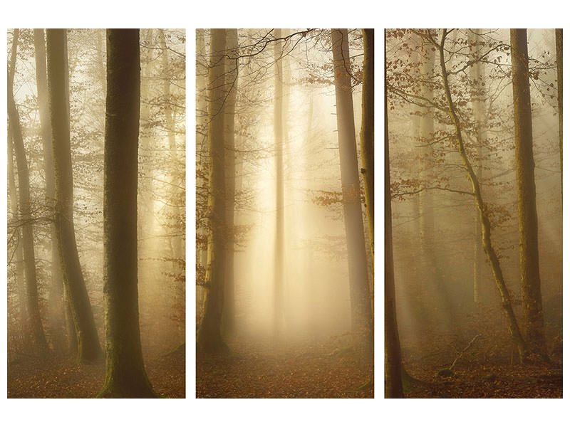 3-piece-canvas-print-into-the-trees