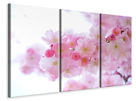 3-piece-canvas-print-japanese-cherry-blossom-xl