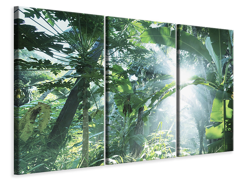 3-piece-canvas-print-jungle-star