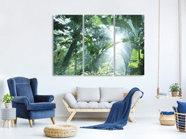 3-piece-canvas-print-jungle-star