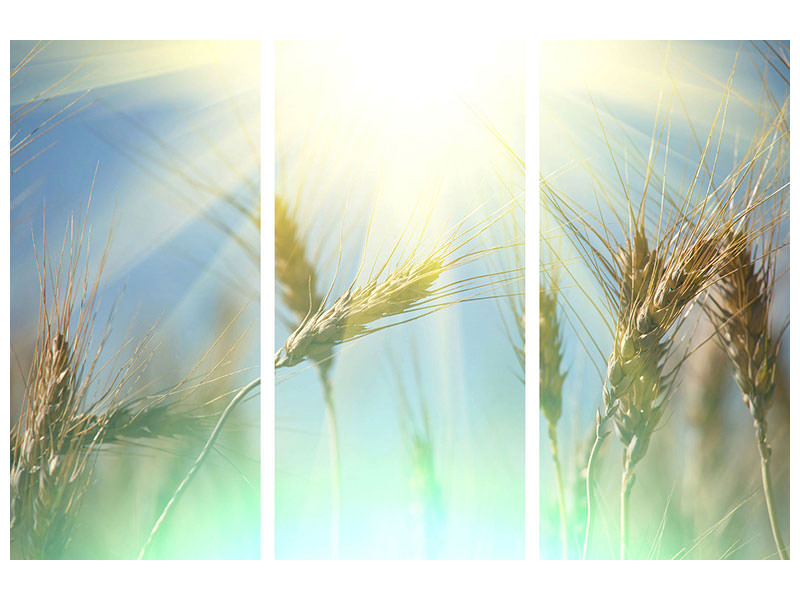 3-piece-canvas-print-king-of-cereals