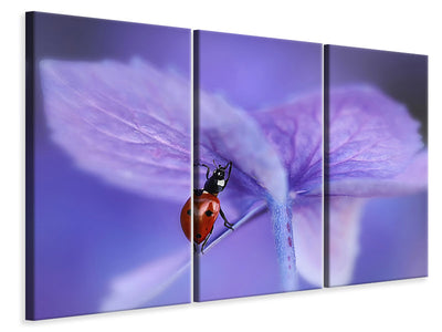 3-piece-canvas-print-ladybird-on-purple-hydrangea