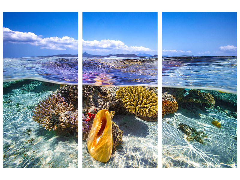 3-piece-canvas-print-lagoon-life