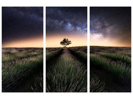 3-piece-canvas-print-lavender-way