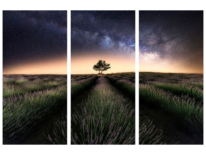 3-piece-canvas-print-lavender-way