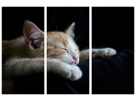 3-piece-canvas-print-lazy-cat