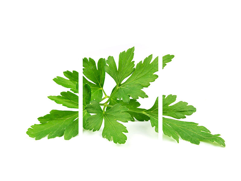 3-piece-canvas-print-leaves-of-parsley