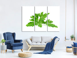 3-piece-canvas-print-leaves-of-parsley