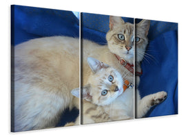 3-piece-canvas-print-like-mom