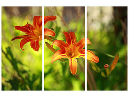 3-piece-canvas-print-lilies-in-nature