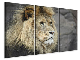 3-piece-canvas-print-lion-head-xl