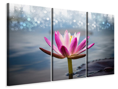 3-piece-canvas-print-lotus-in-the-morning-dew