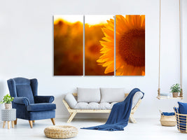 3-piece-canvas-print-macro-sunflower