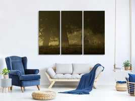 3-piece-canvas-print-magical-sunrise