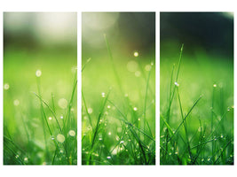 3-piece-canvas-print-meadow-with-morning-dew