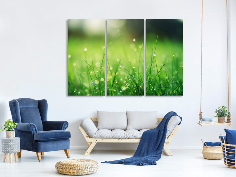 3-piece-canvas-print-meadow-with-morning-dew