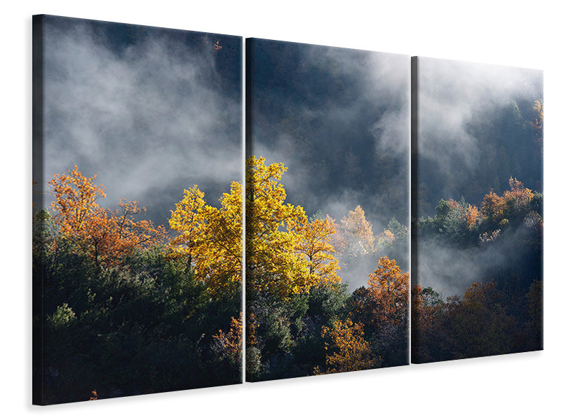 3-piece-canvas-print-moonlight-forest