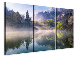 3-piece-canvas-print-morning-calm