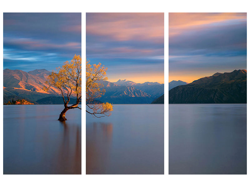 3-piece-canvas-print-morning-glow