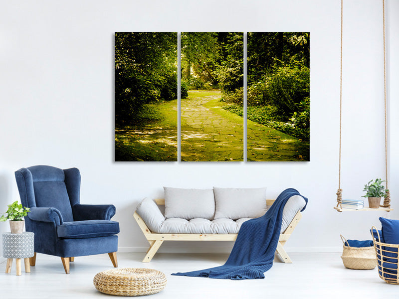 3-piece-canvas-print-moss-covered-path