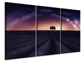 3-piece-canvas-print-my-lavander