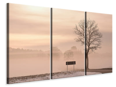 3-piece-canvas-print-mystic-mood-in-nature