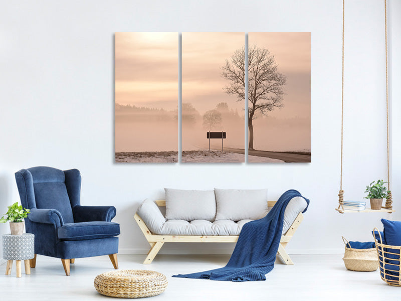 3-piece-canvas-print-mystic-mood-in-nature