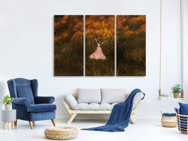 3-piece-canvas-print-natalia-in-the-field