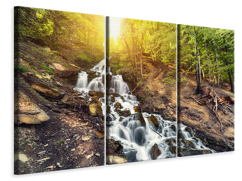 3-piece-canvas-print-natural-beauty