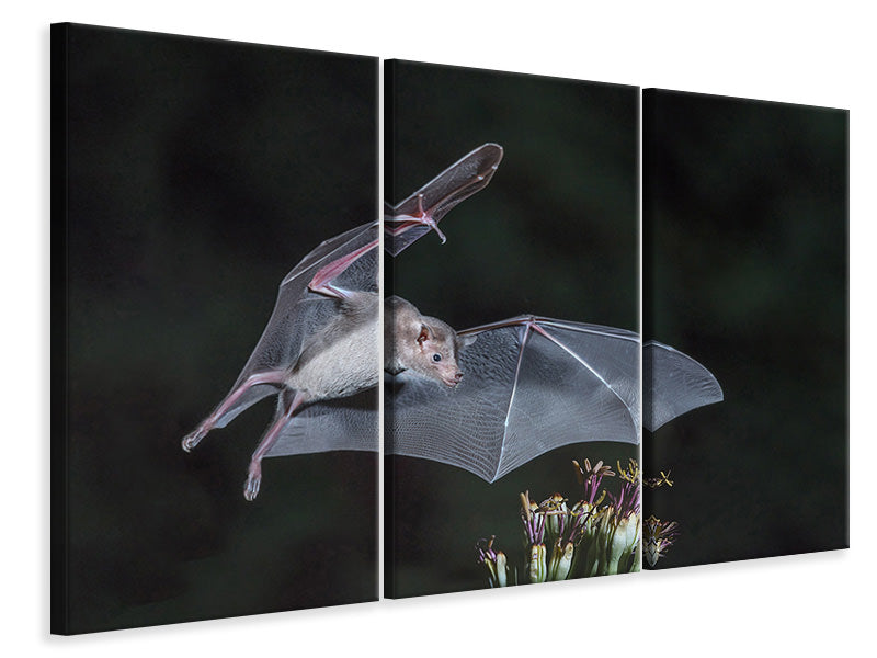 3-piece-canvas-print-nectar-at-night